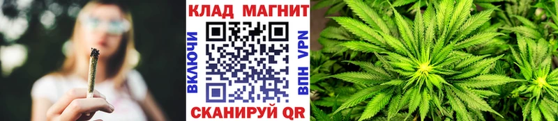 А ПВП Макаров