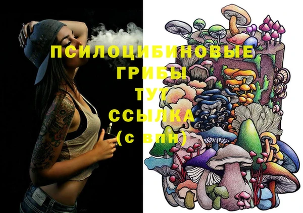 2c-b Вязьма