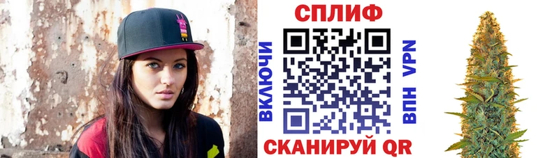 купить   Макаров  Бошки марихуана White Widow 